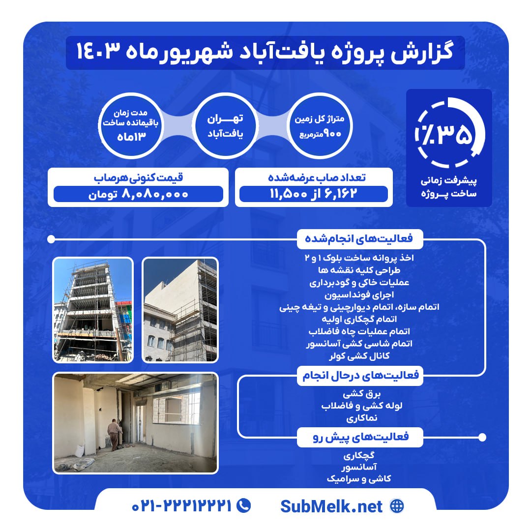 گزارشات دوره ای پروژه